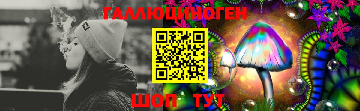 Псилоцибиновые грибы Psilocybe Карталы